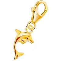 Goldene Hufeisen Charm-Einhänger Delphin Karabiner Charm Anhänger Bettelarmband 925 Silber Vergoldet (inkl. Etui), für Gliederarmband oder Halskette von Goldene Hufeisen