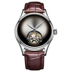 GUANQIN Analoge mechanische Handaufzug Armbanduhr Herren Edelstahl und Leder Saphir Männlich Skelett Echtes Tourbillon Leopard Eye Uhr Wasserdicht Leuchtend, Silver Grey Brown, M, 42mm, von Guanqin