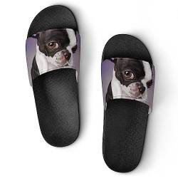 HABXNJF Duschpantoffeln Boxen Boston Terrier Sliders für Damen und Herren rutschfeste Slides, Schwarzer Box-Boston-Terrier, 43.5 EU von HABXNJF