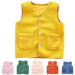 HAOLEI Baby Steppweste Plüschjacke Winter Warm Softshelljacke Übergangsjacke Mädchen Jungen Kapuzenmantel Ärmellose Plüsch Mäntel Westen Kinderweste Fleeceweste mit Kapuze Winterweste von HAOLEI