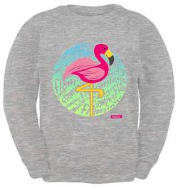 HARIZ Kinder Sweater Flamingo Schrift Tiere Zoo Plus Geschenkkarte Hell Grau 164/14-15 Jahre von HARIZ