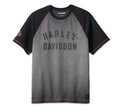 HARLEY-DAVIDSON Iron Bond Raglan Herren T-Shirt, L von HARLEY-DAVIDSON