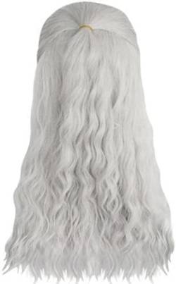 HBYLEE-Wig Anime Cosplay Anime Cosplay Perücke Anime Cosplay Perücke Game Witcher Silber Grau Lange Gerade Mann Cosplay Perücke Synthetische Rollenspiel Haar Perücken for Party Halloween Mit Halskette von HBYLEE