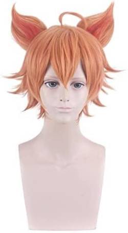 HBYLEE-Wig for cosplay Wig Anime Cosplay Perücke for Nachtleben CluI Party Dress Up Perücke Cosplay Perücke King Cos Zhang Liang bunt bemalte Schriftrolle Baili Xuan Ce Thermal Swing mit Ohren von HBYLEE