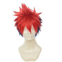 HBYLEE-Wig for cosplay Wig Anime Cosplay Shokugeki No Soma Yukihira Souma Cosplay Wig for Men Boys 30cm Short Straight Heat Resistant Synthetic Hair Blue Red Mixed Yukihira Souma von HBYLEE