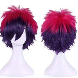 HBYLEE-Wig for cosplay anime cosplay perücke Anime Kurze Flauschige Layered Cosplay Perücke Rot Lila Ombre Perücken Für Frauen Kein Spiel Kein Leben Sora Synthetische Haar + Perücke Kappe von HBYLEE