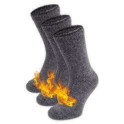 HEATEX Thermosocken mit Kälteschutz Extrem Warm TOG 2.3 Vollfrottee Winter Thermo-Socken Gefüttert (3 Paar) Grau 36-41 von HEATEX