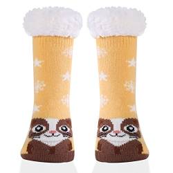 HERYEBING DOXILA Kinder Socken für Mädchen Jungen Lustige Socken Geschenke Bunte Weich Neuheit Kindersocken Gelb Kätzchen 3-5 Jahre (S) von HERYEBING