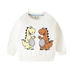 HIKIDS Jungen Sweatshirt Kinder Langarm Pullover Top Sportlich Crewneck Dinosaurier T-Shirt Streetwear Kinderkleidung 104 von HIKIDS