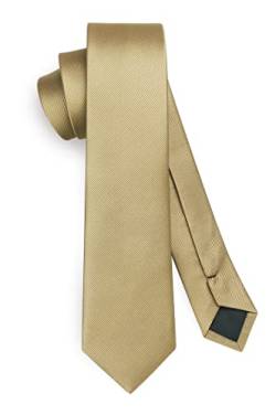 HISDERN Herren Krawatte Champagner Schmale Einfarbig Seide Krawatten für Herren Klassische Formelle Elegante Schlipse Hochzeit Party Business Krawatte 6cm von HISDERN