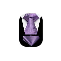 HISDERN Herren Krawatte Hochzeit Lila karierte Krawatten Taschentuch Elegant Klassisch Krawatte & Einstecktuch Set von HISDERN