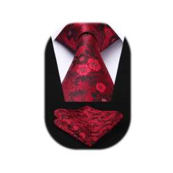 HISDERN Herren Krawatten Taschentuch Party Business Paisley Krawatte & Einstecktuch Set von HISDERN