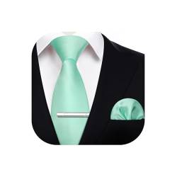 HISDERN Krawatte für Herren Mintgrün - Krawatte mit Einstecktuch Krawattenklammer Hochzeit Einfarbig Seide Krawatten und Taschentuch Set für Männer von HISDERN