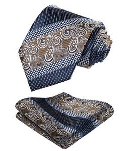 HISDERN Krawatten für Herren Hochzeit Paisley Krawatten Taschentuch Blumen Elegant Klassisch Krawatte & Einstecktuch Set von HISDERN