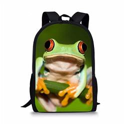 HUIACONG Große Schultasche Kinder Erwachsene Rucksack geeignet für 5-19 Jahre alte Jungen Mädchen, frosch, Medium von HUIACONG