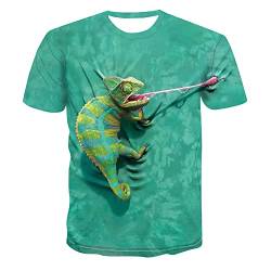 HUIGUANG Herren 3D Druck T-Shirt Lustige Chamäleon T-Shirts Tiere Eidechse Drache Dinosaurier 3D gedruckt Männer Frauen Streetwear Mode T-Shirt Coole Kinder Jungen T-Shirts Tops von HUIGUANG