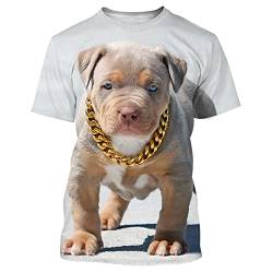 HUIGUANG Herren 3D Druck T-Shirt Sommermode für Männer und Frauen mit Rundhalsausschnitt, französische Bulldogge, bedrucktes Kurzarmhemd, 3D-T-Shirts, atmungsaktiv, 6 x l von HUIGUANG