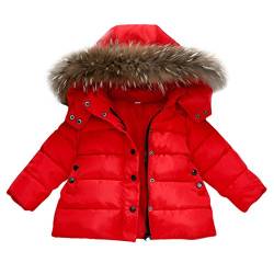 Kinder Winter Warme Daunenjacke Aus Baumwolle mit Kapuze Baby Mädchen Jungen Daunenmantel Mantel Herbst Winter Warme Kinder Kleidung (2-3 Jahre Alt/110CM, Rot) von HWTOP Kinderkleidung