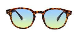 HWYYLX Retro Oval Polarisierte Sonnenbrille Für Männer Frauen, Vintage Johnny Depp Runde Sonnenbrille, Mode UV400 Getönte Linse Sport Karneval Sonnenbrille von HWYYLX