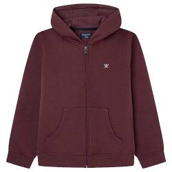 HACKETT LONDON Jungen Hackett Graphic Fz HDY Kapuzenpullover, Rot (Kastanienbraun), 7 Years von Hackett London