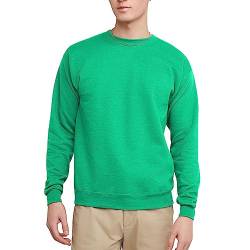 Hanes Herren EcoSmart Fleece Baumwollmischung Pullover Crewneck 1er oder 2er Pack wählbar Sweatshirt, Kelly Green-1 Packung, 4X-Large von Hanes