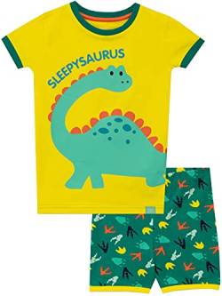 Harry Bear Jungen Schlafanzug Dinosaurier Slim Fit Gelb 116 von Harry Bear