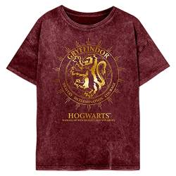 Harry Potter Damen-T-Shirt Gryffindor Constellation, kastanienbraun, Large von Harry Potter