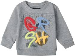 Harry Potter Häuser Unisex Sweatshirt hellgrau 146/152 von Harry Potter