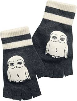 Harry Potter Hedwig Unisex Kurzfingerhandschuhe dunkelgrau meliert one Size von Harry Potter