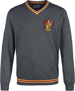 Harry Potter Herren Mehapompu038 Pullover, Anthrazit, X-Large von Harry Potter