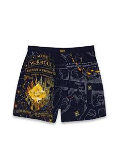 Harry Potter Hogwarts Häuser Herren Briefly Stated Boxershorts Unterwäsche - Blau - Large von Harry Potter