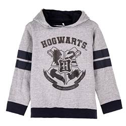 Harry Potter Kapuzenpullover Kinder Mädchen Jungen Hoodie Teenager Kapuzenpullover Crewneck Sweatshirt Pullover 6-14 Jahre Offiziell Merchandise (DE/NL/SE/PL, Numerisch, 128, Regular, Grau) von Harry Potter