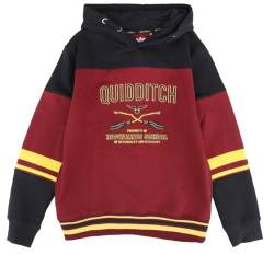 Harry Potter Kids - Gryffindor - Hogwarts School Unisex Kapuzenpullover Multicolor 128 von Harry Potter