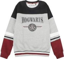 Harry Potter Kids - Hogwarts - England Made Unisex Sweatshirt Multicolor 140 von Harry Potter