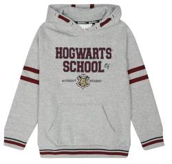 Harry Potter Kids - Hogwarts School Unisex Kapuzenpullover Multicolor 128 von Harry Potter