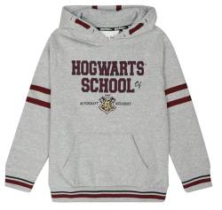 Harry Potter Kids - Hogwarts School Unisex Kapuzenpullover Multicolor 164 von Harry Potter