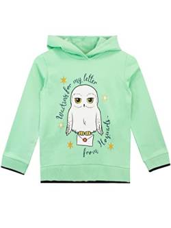 Harry Potter Pullover | Hedwig Hoodie Mädchen | 100% Baumwolle Kinder-Pullover | Hogwarts Pulli Grün 134 von Harry Potter