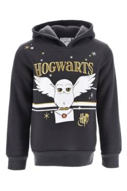 Harry Potter Sweatshirt für Mädchen, Hedwig Design Pullover, Schwarz Weiches Textil Sweatshirt, Kapuzenpullover für Mädchen, Geschenk für Mädchen, Größen 4 bis 8 Jahre (4 Jahre) von Harry Potter