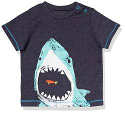 Hatley Baby-Jungen Graphic Tee T-Shirt, Shark Lunch, 80 von Hatley