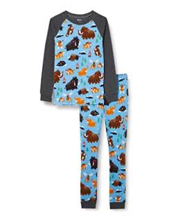 Hatley Jungen Organic Cotton Raglan Sleeve Printed Pyjama Set Pyjamaset, Ice Age, 2 Jahre von Hatley