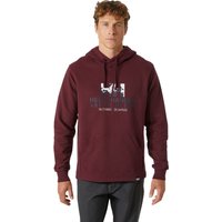 Hoodie Helly Hansen Arctic Ocean von Helly Hansen