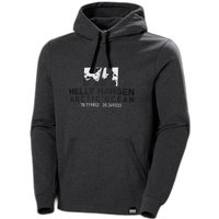 Hoodie Helly Hansen arctic ocean von Helly Hansen