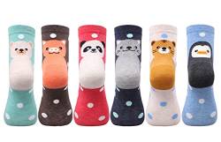 HeyUU Lustige Socken Damen Baumwollsocken Cartoon Kuschelsocken mit bunten Tiergesichtern Mädchen Geschenk 6Parre Gemischt3 von HeyUU