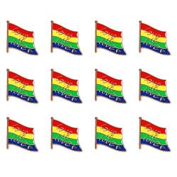 12 Stück Regenbogen-Broschen,Fortschritt Stolz Abzeichen Anstecknadel Pins,Love Flag LGBT Gay Regenbogen Emaille Pin Set für Pullover Schals Kleider Kleidung Taschen Jacken (Flaggen) von Hileyu