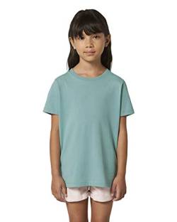 Hochwertiges Kinder T-Shirt aus 100% Bio-Baumwolle für Mädchen und Jungen. Eignet Sich hervorragend zum Bedrucken. (z.B.: mit Transfer-Folien/Textilfolien), Size:134/146, Color:Teal Monstera von Hilltop