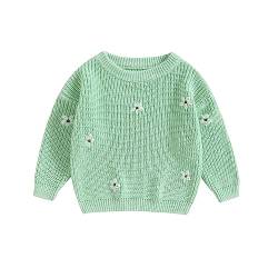 Himllauen Baby Mädchen Pullover Langarm Blumen Print Strickpullover Baby Mädchen Jungen Winter Warm Kleidung (Hellgrün, 6-9 Months) von Himllauen