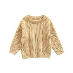 Himllauen Baby Pullover Jungen Mädchen Frühling Herbst Winter Kleidung 0-5 Jahre Kinder Pullover (Beige, 6-9 Months) von Himllauen