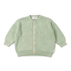 Hofbrucker Oversize Baby Strickjacke aus 100% Bio Baumwolle, mitwachsender Cardigan für Mädchen und Jungen mit edlen Holzknöpfen, Mintgrün, 62/68 von Hofbrucker