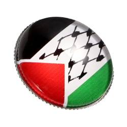Holibanna Palästinensische Brosche Palästinensische Flaggen-pins Unterstützen Sie Die Palästina-flagge Anstecknadel Mit Palästina-flagge Freiheitsbrosche Mann Zinklegierung Metall Zubehör von Holibanna