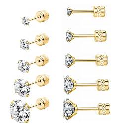 5 Paar Edelstahl-Ohrringe für Damen, Herren, Jungen und Mädchen, Schmuck-Set, hypoallergene, doppelte, runde Zirkonia, Ohrring für Kleinkinder, 2–6 mm (Gold) von Hopply